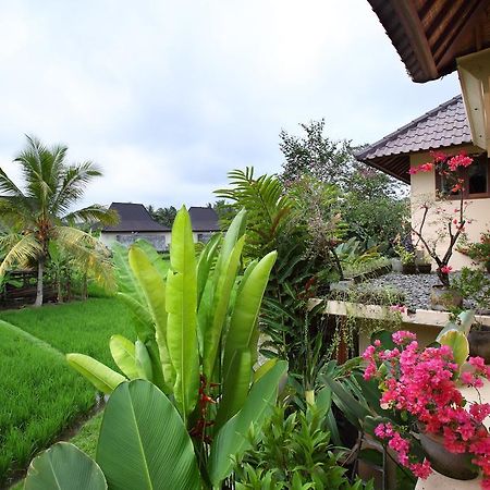 Satori Villas Bali Ubud  Ngoại thất bức ảnh