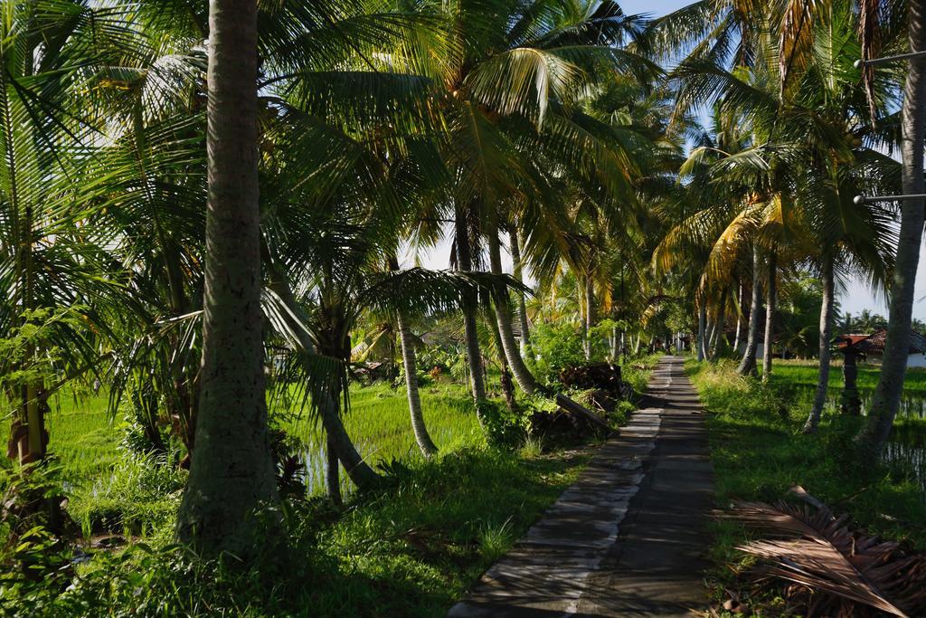 Satori Villas Bali Ubud  Ngoại thất bức ảnh