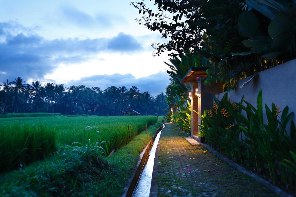 Satori Villas Bali Ubud  Ngoại thất bức ảnh