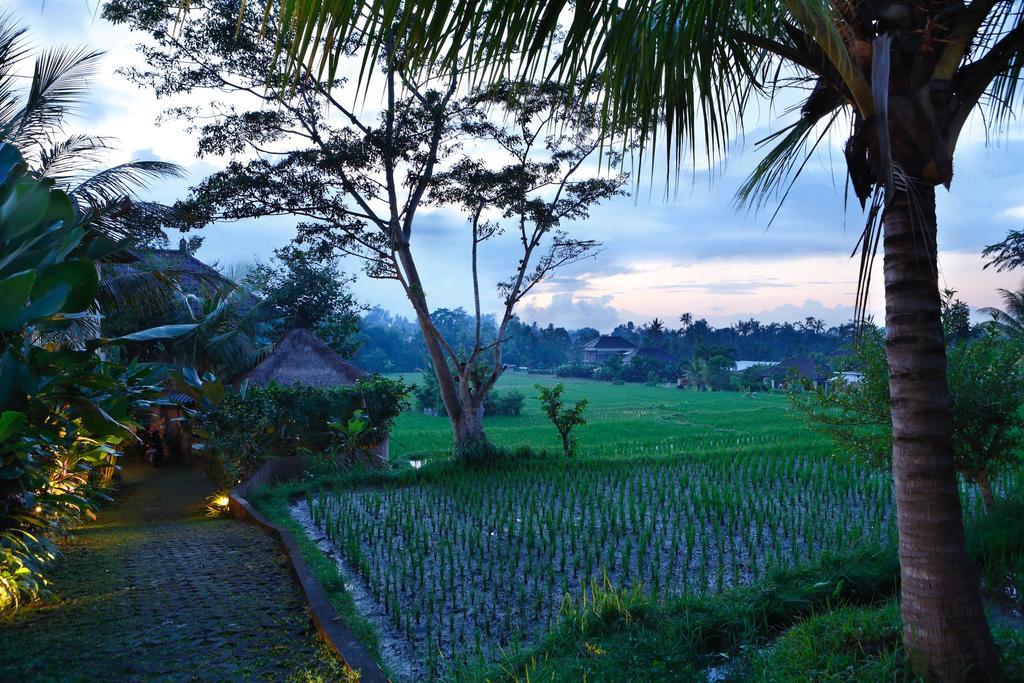 Satori Villas Bali Ubud  Ngoại thất bức ảnh