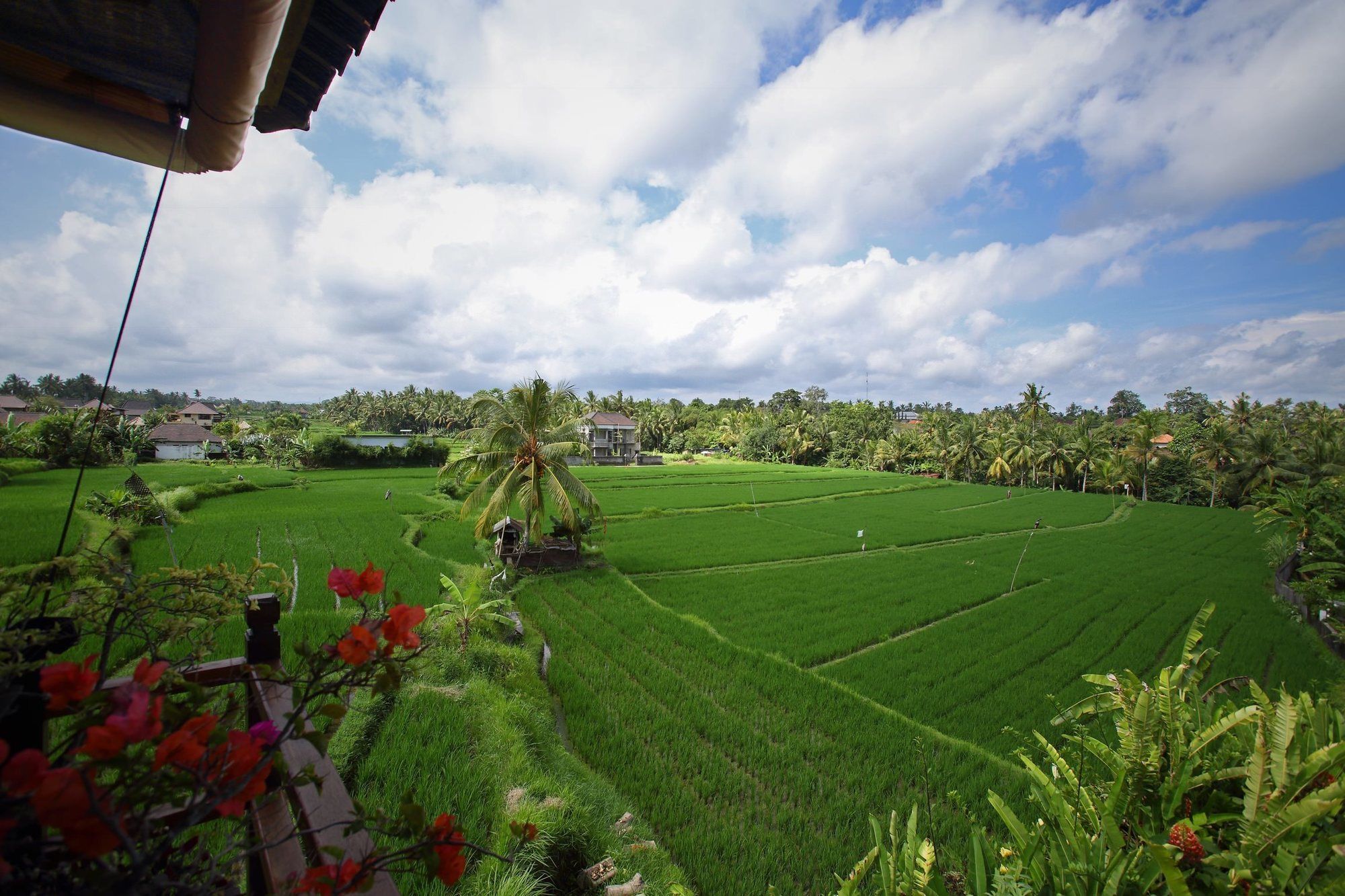 Satori Villas Bali Ubud  Ngoại thất bức ảnh